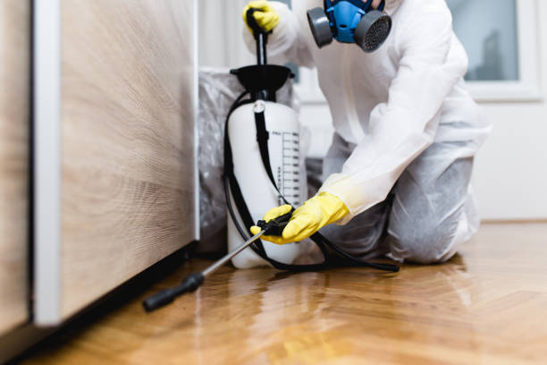 Best Flea Control Services  in Hettinger, ND