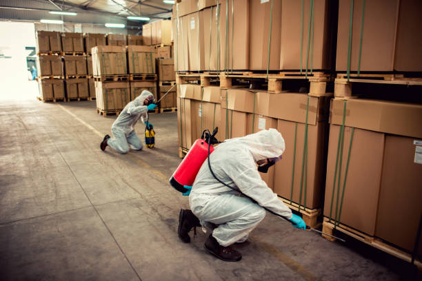 Best Pest Control for Restaurants  in Hettinger, ND