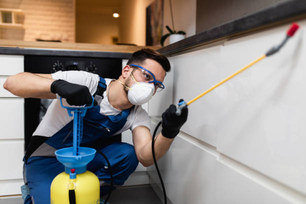 Best Pest Removal Services  in Hettinger, ND