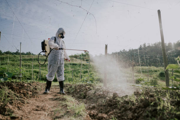 Best Best Pest Control Companies  in Hettinger, ND