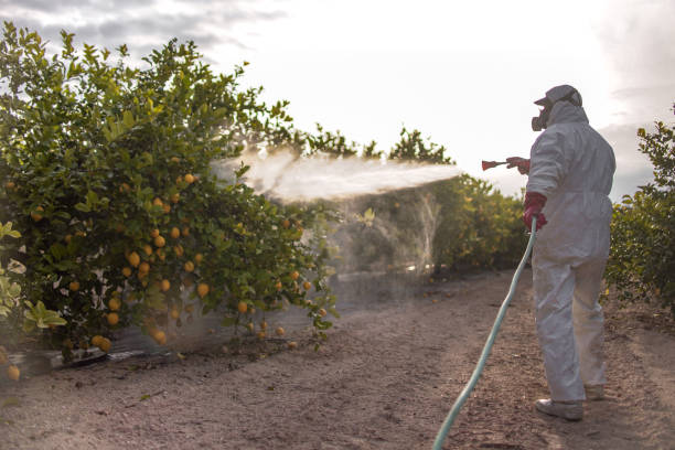 Best Local Pest Control Services  in Hettinger, ND