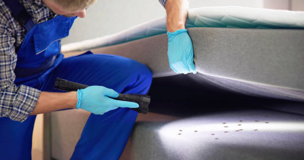 Best Pest Prevention Services  in Hettinger, ND