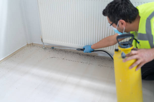 Best Commercial Pest Control Services  in Hettinger, ND