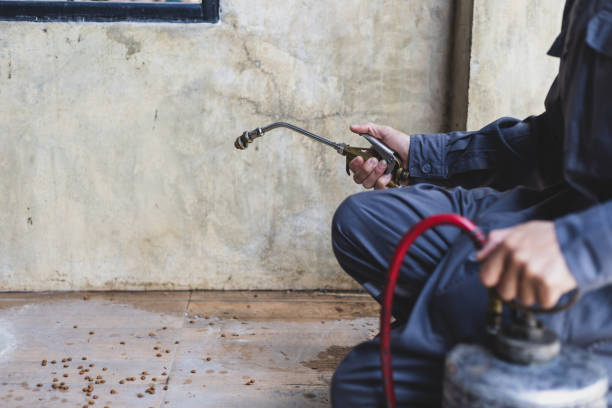 Best Affordable Pest Control Services  in Hettinger, ND