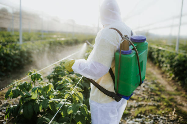 Flea Control Services in Hettinger, ND